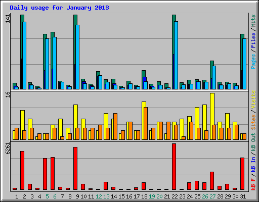 Daily usage for January 2013