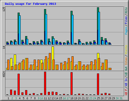 Daily usage for February 2013