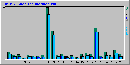 Hourly usage for December 2012