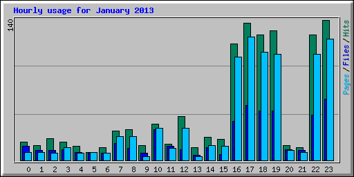 Hourly usage for January 2013