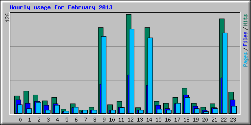 Hourly usage for February 2013