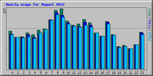 Hourly usage for August 2013